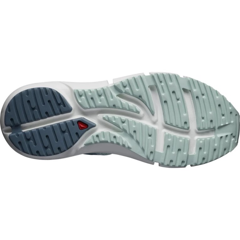 Blue / Mint Salomon Predict 2 Women's Running Shoes | IE HE2687